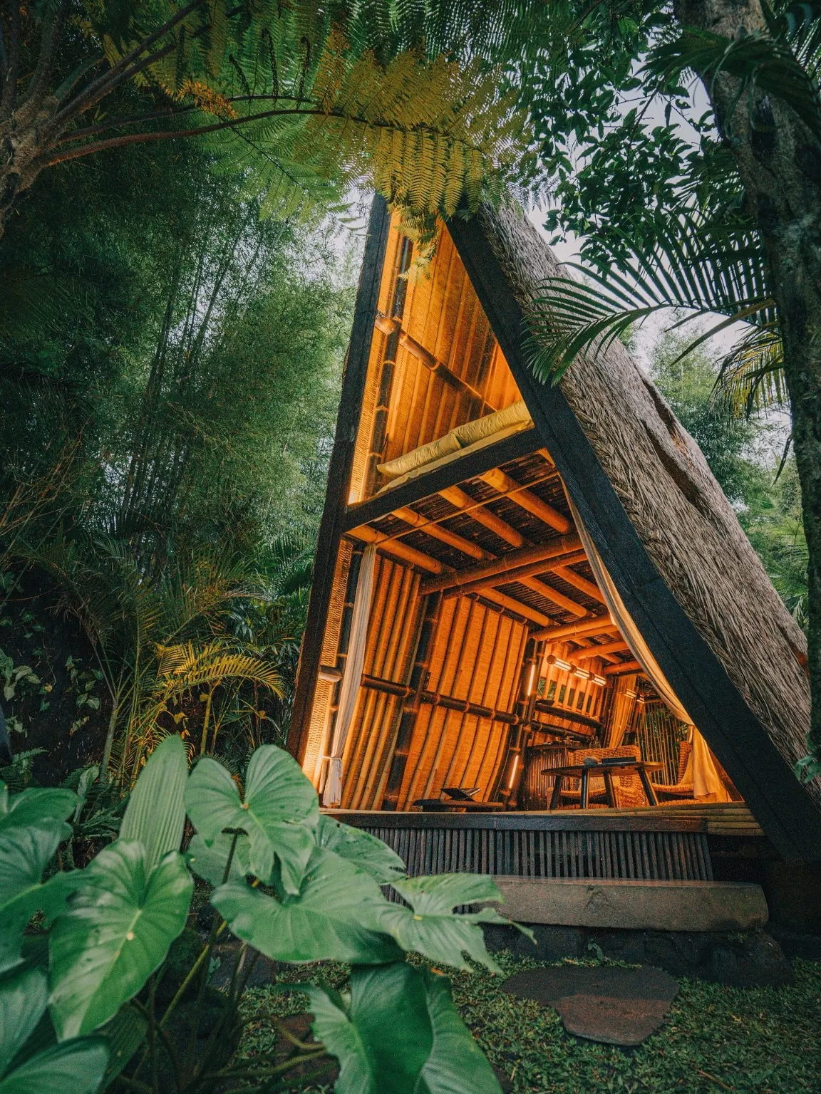 Imagem conceitual de inspiração: arquitetura em bambu e natureza